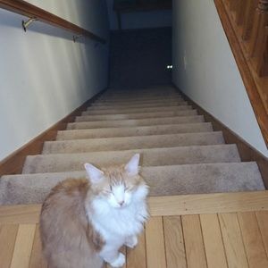 Meet your Posher, Alison